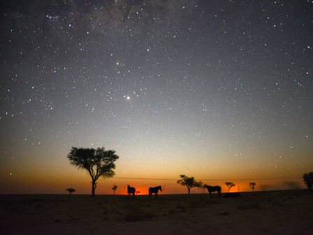 Namibia Horse Safari